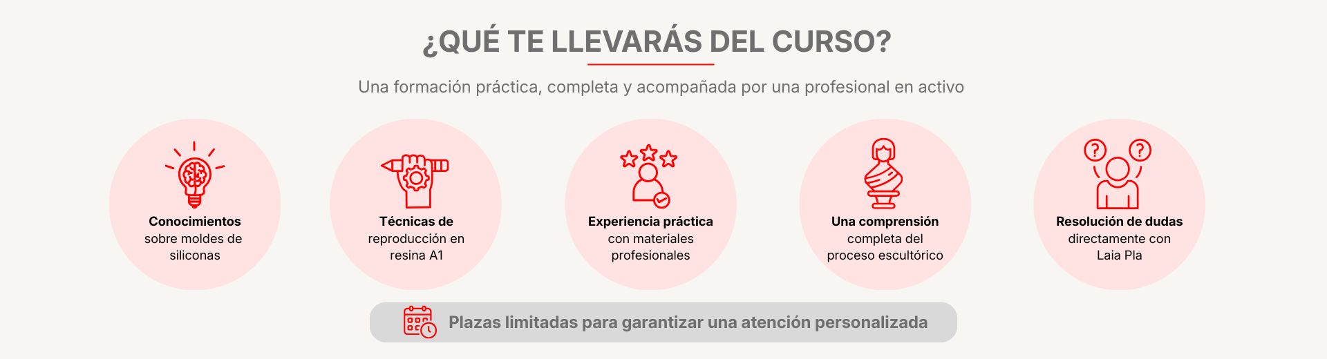 curso Laia Pla